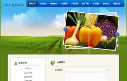 云南新華電腦學(xué)院官方網(wǎng)站 融合地域特色與現(xiàn)代美學(xué)的網(wǎng)頁設(shè)計典范